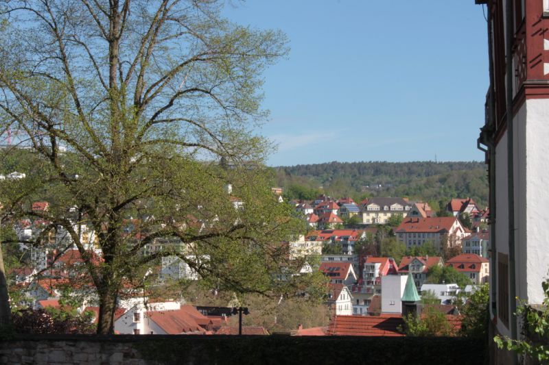 Tübingen - À la découverte de Tübingen